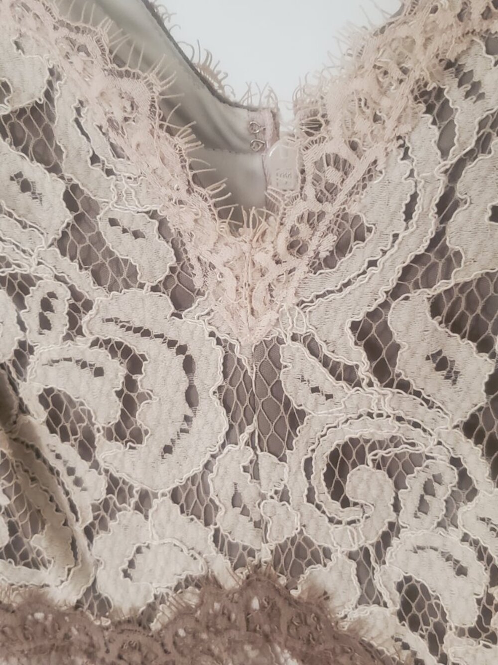 Tadashi Shoji Lace V-Neck Figure-Flattering Sheath Dress | Size 6 - Picture 5 of 10